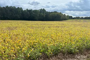 8 5 Ac Williamsburg Rd, Olin, NC 28660 - Photo 1