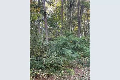 99999 Shelby Drive, Asheville, NC 28803 - Photo 1