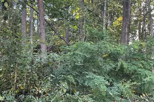 99999 Shelby Dr, Asheville, NC 28803 - Photo 1