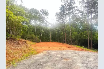 0 Oriole Drive #182, Lake Lure, NC 28746 - Photo 1