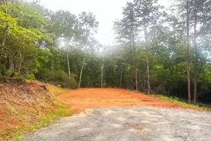 0 Oriole Dr, Lake Lure, NC 28746 - Photo 1