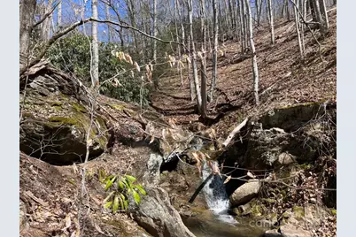 Off Sorrells Cove Road, Clyde, NC 28721 - Photo 1