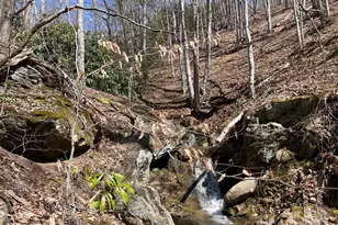 Off Sorrells Cove Rd, Clyde, NC 28721 - Photo 1