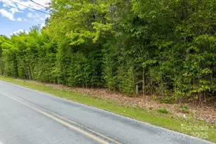 1615 Fox Dairy Rd, Newton, NC 28658 - Photo 1