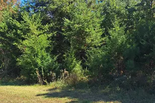 26 Planters Row Rd, Iron Station, NC 28080 - Photo 1