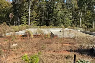 3207 Timber Run Ln, Maiden, NC 28650 - Photo 1