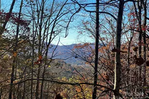 135 Paisley Ln, Pisgah Forest, NC 28768 - Photo 1