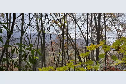 62 Turkey Hollow Court, Waynesville, NC 28785 - Photo 1