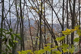 62 Turkey Hollow Ct, Waynesville, NC 28785 - Photo 1