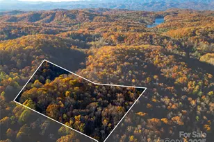 Lot 342 Severy Ln, Brevard, NC 28712 - Photo 1