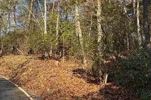 377 Tsisqua Cir, Brevard, NC 28712 - Photo 1