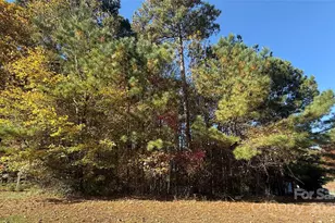 8870 Braxton Dr, Sherrills Ford, NC 28673 - Photo 1