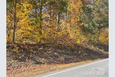 Lot 52 & 57 China Grove Road, China Grove, NC 28023 - Photo 1
