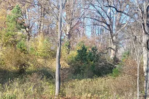 00 Kirkpatrick Cove, Clyde, NC 28721 - Photo 1