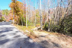 99999 Long Branch Rd, Swannanoa, NC 28778 - Photo 1