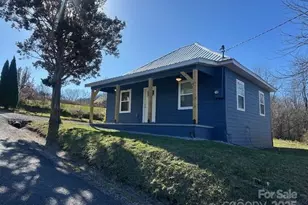 1224 Phillipsville Loop, Canton, NC 28716 - Photo 1