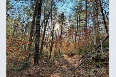 0 Polk County Line Road, Rutherfordton, NC 28139 - Photo 1