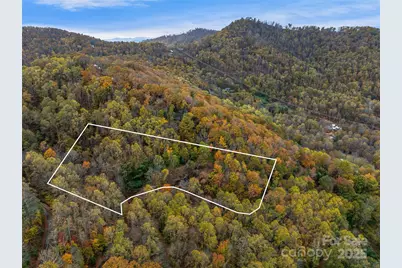 45 Flora Rose Trail, Asheville, NC 28803 - Photo 1