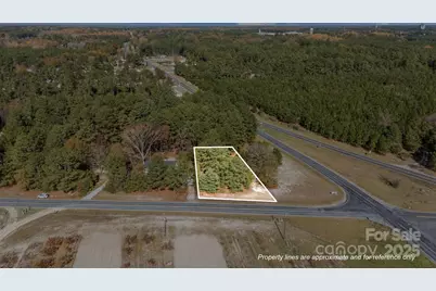 Vacant McCallum Road #11, Candor, NC 27229 - Photo 1