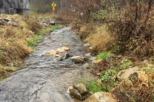 Tbd Little Creek Rd, Burnsville, NC 28714 - Photo 1