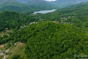 9999 North Fork Rd, Black Mountain, NC 28711 - Photo 1
