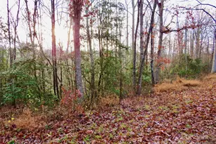 0 Henson Rd, Forest City, NC 28043 - Photo 1