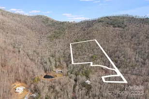 99999 Walker Mountain Ln, Black Mountain, NC 28711 - Photo 1