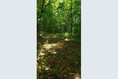 1111 E Clubhouse Road, Sylva, NC 28779 - Photo 1