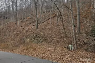 9999 E Sondley Dr, Asheville, NC 28805 - Photo 1