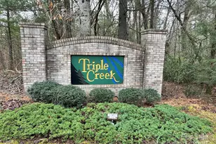 00 Cyprus Creek Ln, Hendersonville, NC 28791 - Photo 1