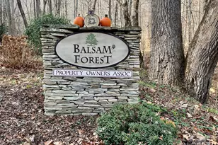 000 Heather Way, Waynesville, NC 28786 - Photo 1