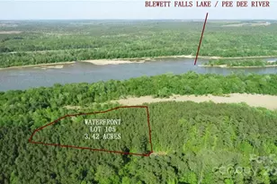 Tbd Wilderness Trail, Lilesville, NC 28091 - Photo 1