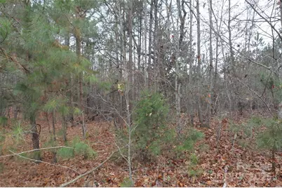 000 Josie Road, Blackstock, SC 29014 - Photo 1