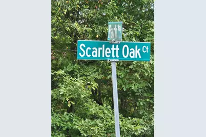 411 NE Scarlett Oaks Court #66, Lenoir, NC 28645 - Photo 1