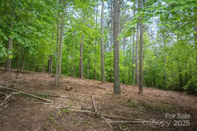 212 Harbor Ridge Drive, Connelly Springs, NC 28612 - Photo 1