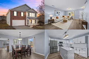 10527 River Hollow Ct, Charlotte, NC 28214 - Photo 1