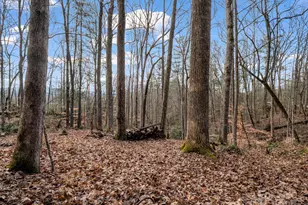 17 Maple Leaf Dr, Hendersonville, NC 28792 - Photo 1