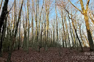 1615 Fox Dairy Rd, Newton, NC 28658 - Photo 1