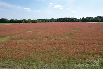 2 Rogers Lane, Bennettsville, SC 29512 - Photo 1