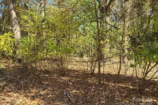 00 Excelsior St, Belmont, NC 28012 - Photo 1