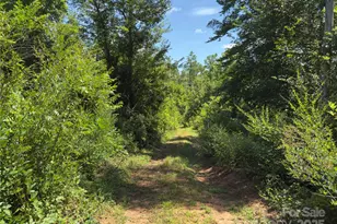 0 Collins Rd, Bostic, NC 28018 - Photo 1