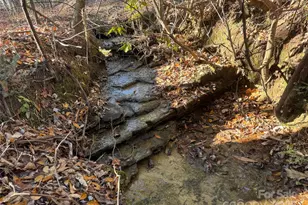 000 Small Creek Rd, Brevard, NC 28712 - Photo 1