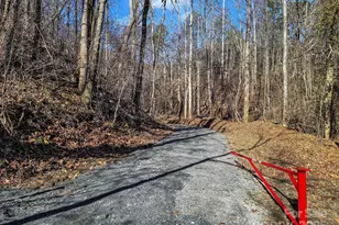 6617 Green River Cove Rd, Saluda, NC 28773 - Photo 1