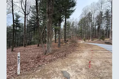 S - 27 Hollybrook Drive #27, Flat Rock, NC 28731 - Photo 1