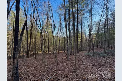 0000 Pebble Stone Trail #46, Hendersonville, NC 28792 - Photo 1