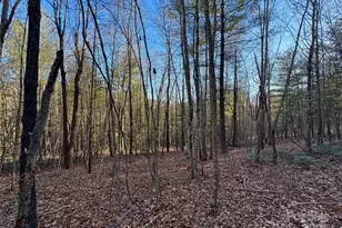 0000 Pebble Stone Trail, Hendersonville, NC 28792 - Photo 1
