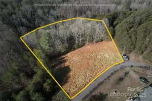 00 Virginia Ridge, Connelly Springs, NC 28612 - Photo 1