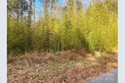 Lot #7 Winnie Hole Lane, Richburg, SC 29729 - Photo 1