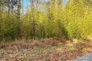 Lot #7 Winnie Hole Ln, Richburg, SC 29729 - Photo 1