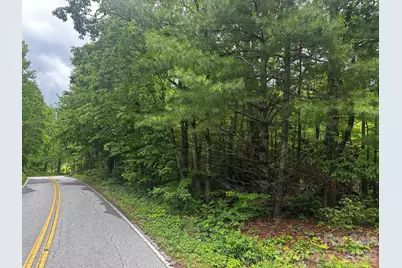 784 Shumont Road, Black Mountain, NC 28711 - Photo 1